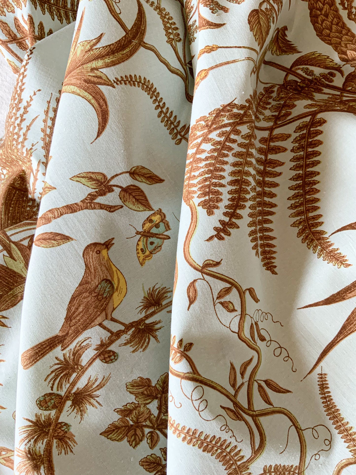 Bird and Thistle by Brunschwig & Fils Fabric