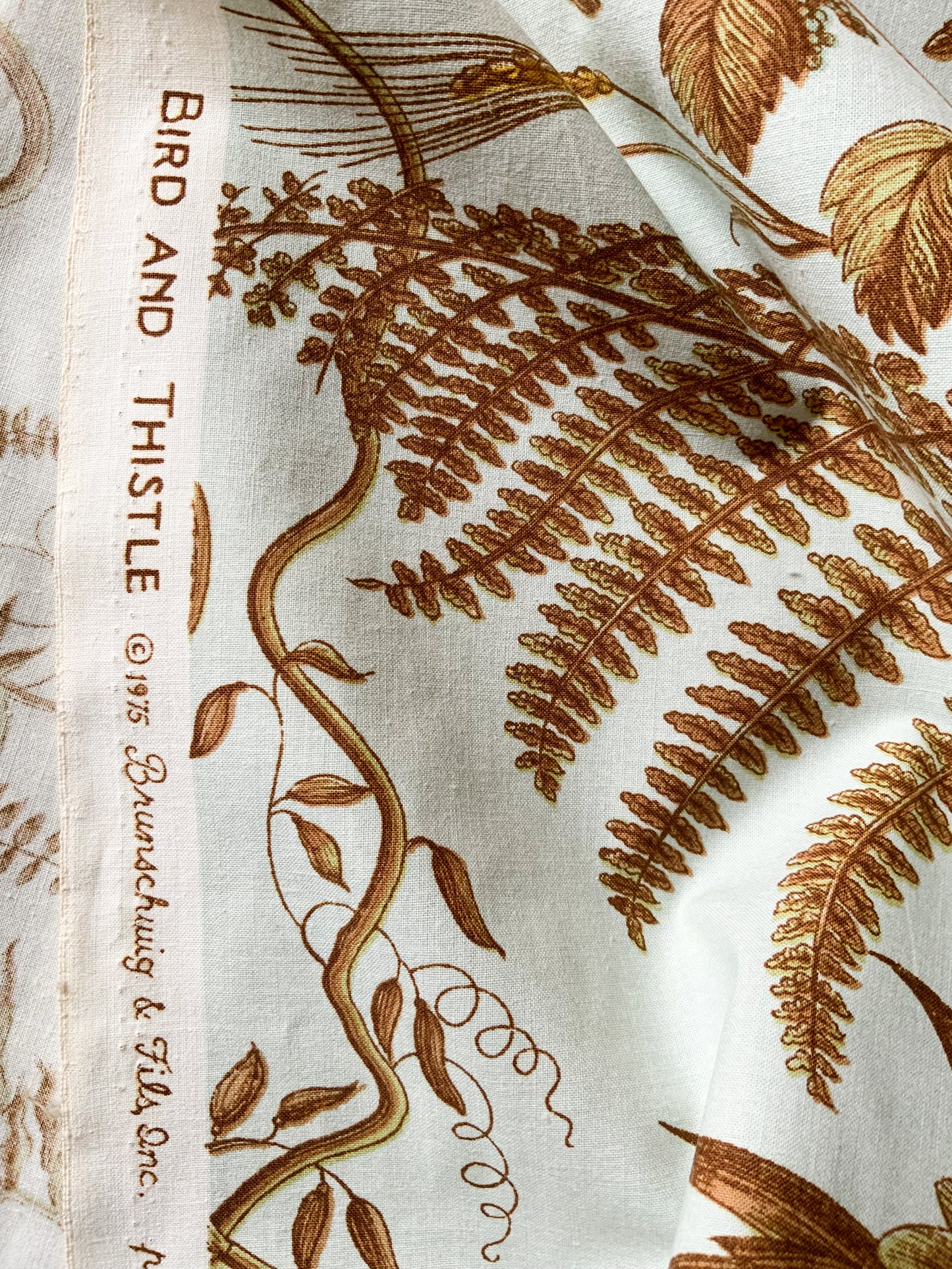 Bird and Thistle by Brunschwig & Fils Fabric