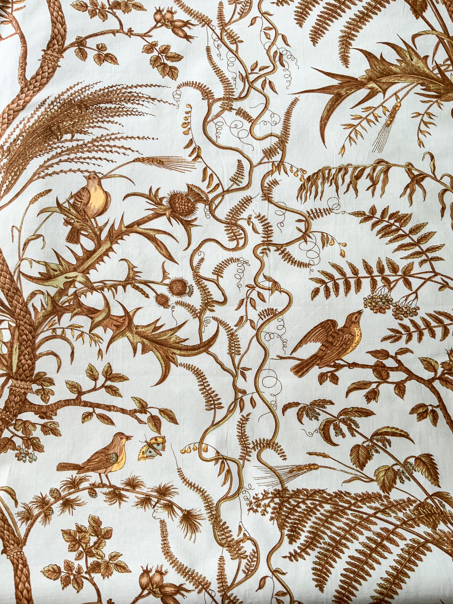 Bird and Thistle by Brunschwig & Fils Fabric