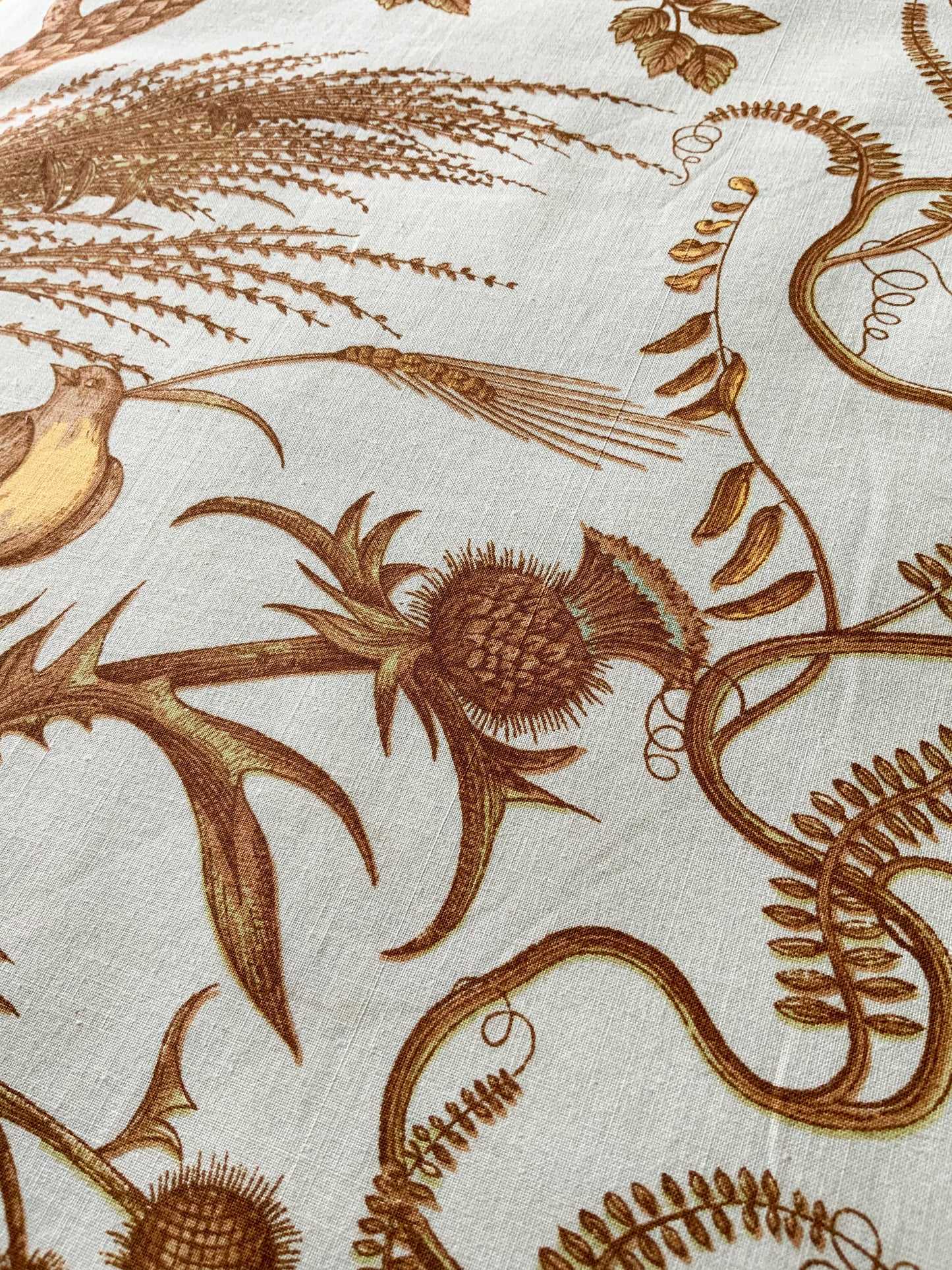 Bird and Thistle by Brunschwig & Fils Fabric