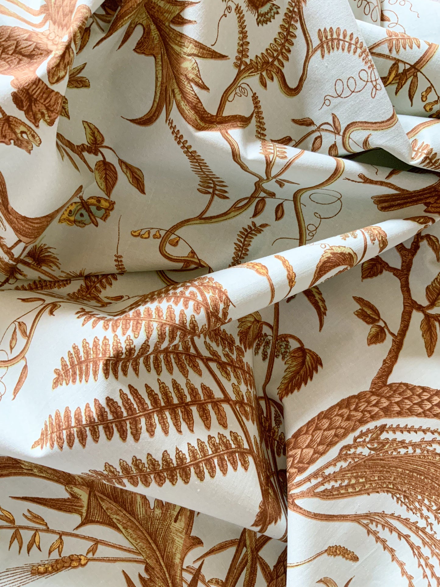 Bird and Thistle by Brunschwig & Fils Fabric