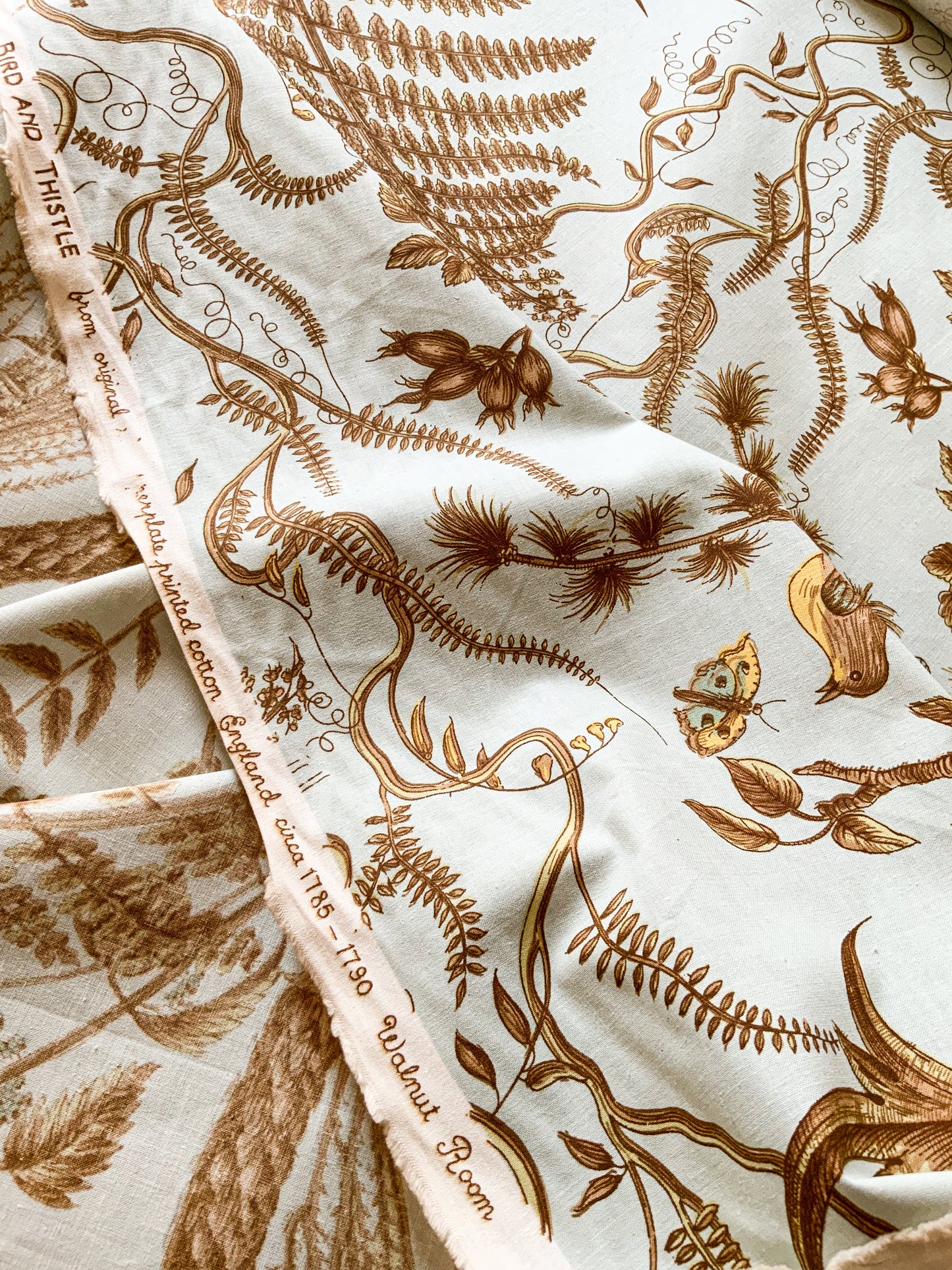 Bird and Thistle by Brunschwig & Fils Fabric